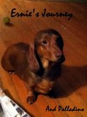 Ernie's Journey (eBook, ePUB)