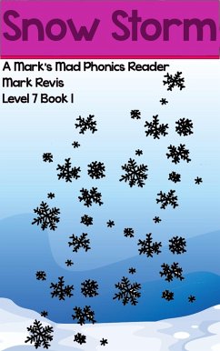 Cover Snow Storm (eBook, ePUB)