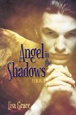 Angel in the Shadows, Book 1 by Lisa Grace (Angel Series) (eBook, ePUB)