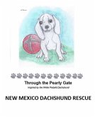 Through the Pearly Gate (eBook, ePUB) Through the Pearly Gate (eBook, ePUB)