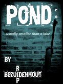 Pond (eBook, ePUB)