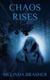 Chaos Rises (eBook, ePUB)