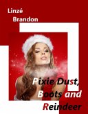 Pixie Dust, Boots and Reindeer (An Accolade Adventure, #1) (eBook, ePUB)