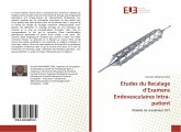 Etudes du Recalage d¿Examens Endovasculaires Intra-patient