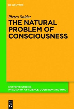 Cover The Natural Problem of Consciousness (eBook, ePUB)