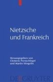 Nietzsche und Frankreich (eBook, PDF)
