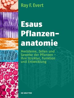 Esaus Pflanzenanatomie (eBook, PDF) - Evert, Ray F.