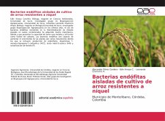 Bacterias endófitas aisladas de cultivo de arroz resistentes a níquel