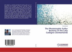 The Phototrophic Sulfur Bacteria of the Lake Cadagno (Switzerland) - Storelli, Nicola