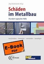 Cover Schäden im Metallbau (eBook, PDF)