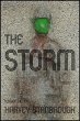 The Storm (eBook, ePUB) - Bild 1