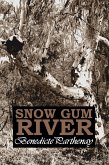 Snow Gum River (eBook, ePUB)