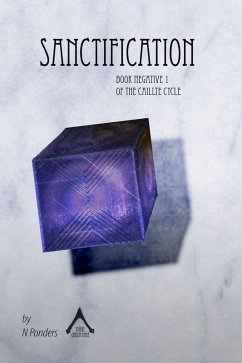 Sanctification (The Caillte Cycle, #6) (eBook, ePUB) - N Ponders