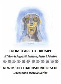 From Tears to Triumph (eBook, ePUB)