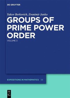 Cover Groups of Prime Power Order. Volume 3 (eBook, PDF)