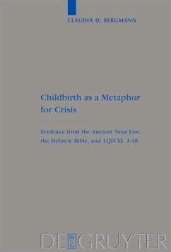 Childbirth as a Metaphor for Crisis (eBook, PDF)