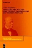 Photographie, Malerei und visuelle Wahrnehmung bei Theodor Fontane (eBook, PDF)