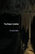 The Broken Condition (eBook, ePUB) - Bild 1