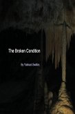 The Broken Condition (eBook, ePUB)