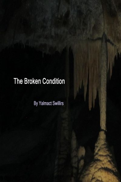 The Broken Condition (eBook, ePUB)