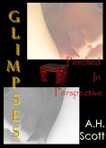 GLIMPSES: Perched In Perspective (eBook, ePUB)