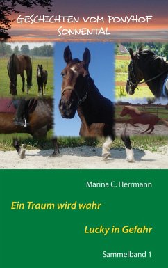 Geschichten vom Ponyhof Sonnental - Herrmann, Marina C.