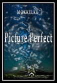 Picture Perfect (eBook, ePUB)