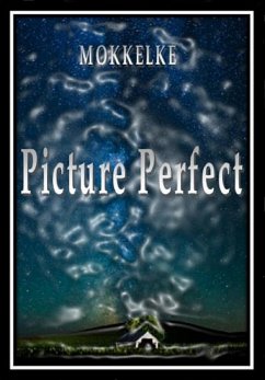 Cover Picture Perfect (eBook, ePUB)
