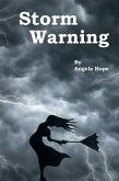 Storm Warning (eBook, ePUB)
