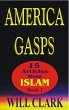 America Gasps (eBook, ePUB) - Bild 1