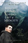 Safety Assured Leaving East of Medicetti (Book 5 Forest at the Edge) (eBook, ePUB) Safety Assured Leaving East of Medicetti (Book 5 Forest at the Edge) (eBook, ePUB)