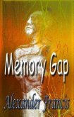 Memory Gap (eBook, ePUB)