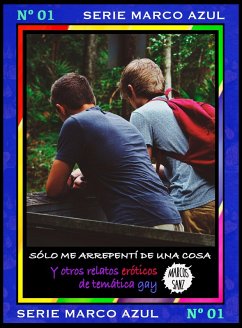 Cover Sólo me arrepentí de una cosa. Y otros relatos eróticos de temática gay. Serie Marco Azul Nº1 (eBook, ePUB)