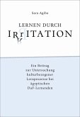 Lernen durch Irritation (eBook, PDF)