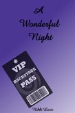 A Wonderful Night (eBook, ePUB)