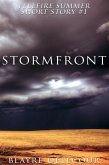 Stormfront (Fellfire Summer Short Story #1) (eBook, ePUB)