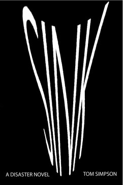 Cover Sink (eBook, ePUB)