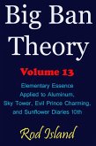 Big Ban Theory: Elementary Essence Applied to Aluminum, Sky Tower, Evil Prince Charming, and Sunflower Diaries 10th, Volume 13 (eBook, ePUB) Big Ban Theory: Elementary Essence Applied to Aluminum, Sky Tower, Evil Prince Charming, and Sunflower Diaries 10th, Volume 13 (eBook, ePUB)