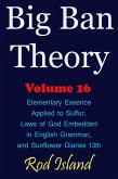 Big Ban Theory: Elementary Essence Applied to Sulfur, Laws of God Embedded in English Grammar, and Sunflower Diaries 13th, Volume 16 (eBook, ePUB) Big Ban Theory: Elementary Essence Applied to Sulfur, Laws of God Embedded in English Grammar, and Sunflower Diaries 13th, Volume 16 (eBook, ePUB)