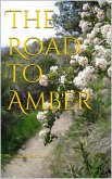 The Road to Amber (eBook, ePUB)