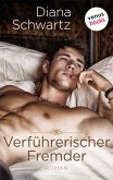 Verführerischer Fremder (eBook, ePUB)