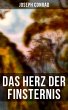 Das Herz der Finsternis (eBook, ePUB) - Bild 1