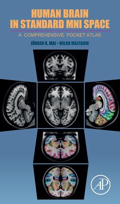 Human Brain in Standard MNI Space (eBook, ePUB) - Mai, Juergen K.; Majtanik, Milan