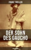 Der Sohn des Gaucho (Abenteuerroman) (eBook, ePUB)