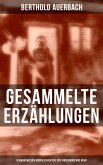 Gesammelte Erzählungen: Schwarzwälder Dorfgeschichten, Der Kindesmord und mehr (eBook, ePUB)