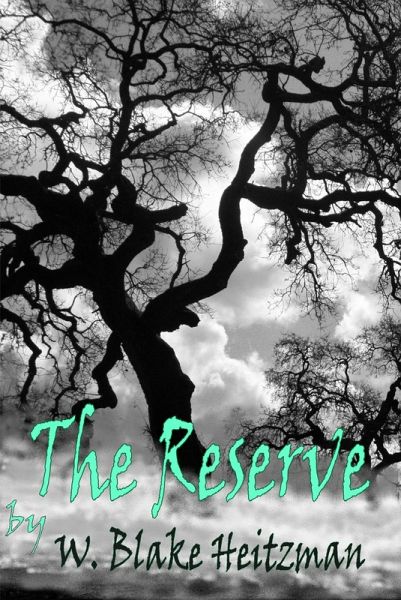 The Reserve (eBook, ePUB)