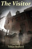 The Visitor (eBook, ePUB)