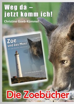 Die Zoebücher (eBook, ePUB) - Goeb-Kümmel, Christine