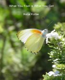 What You Feel is What You Get (eBook, ePUB)