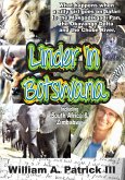 Linder in Botswana (eBook, ePUB) Linder in Botswana (eBook, ePUB)